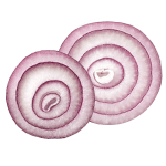 onion.png